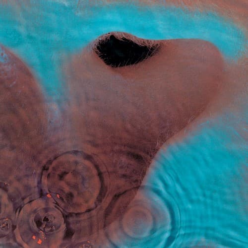 Meddle — Pink Floyd