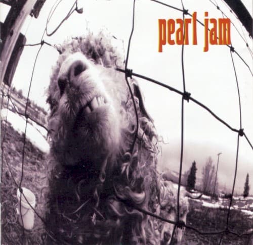 Vs. — Pearl Jam