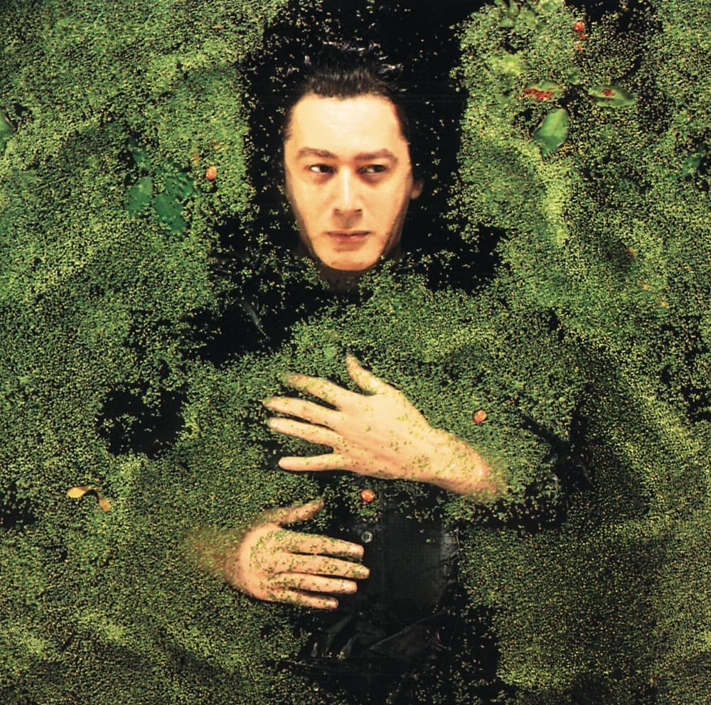 Fantaisie militaire — Alain Bashung