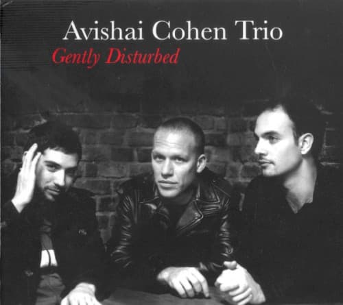 Gently Disturbed — Avishai Cohen Trio