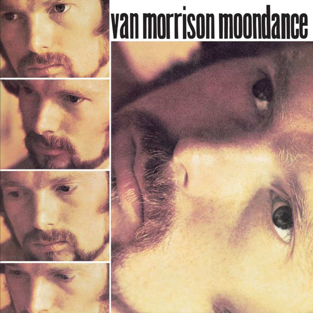 Moondance — Van Morrison