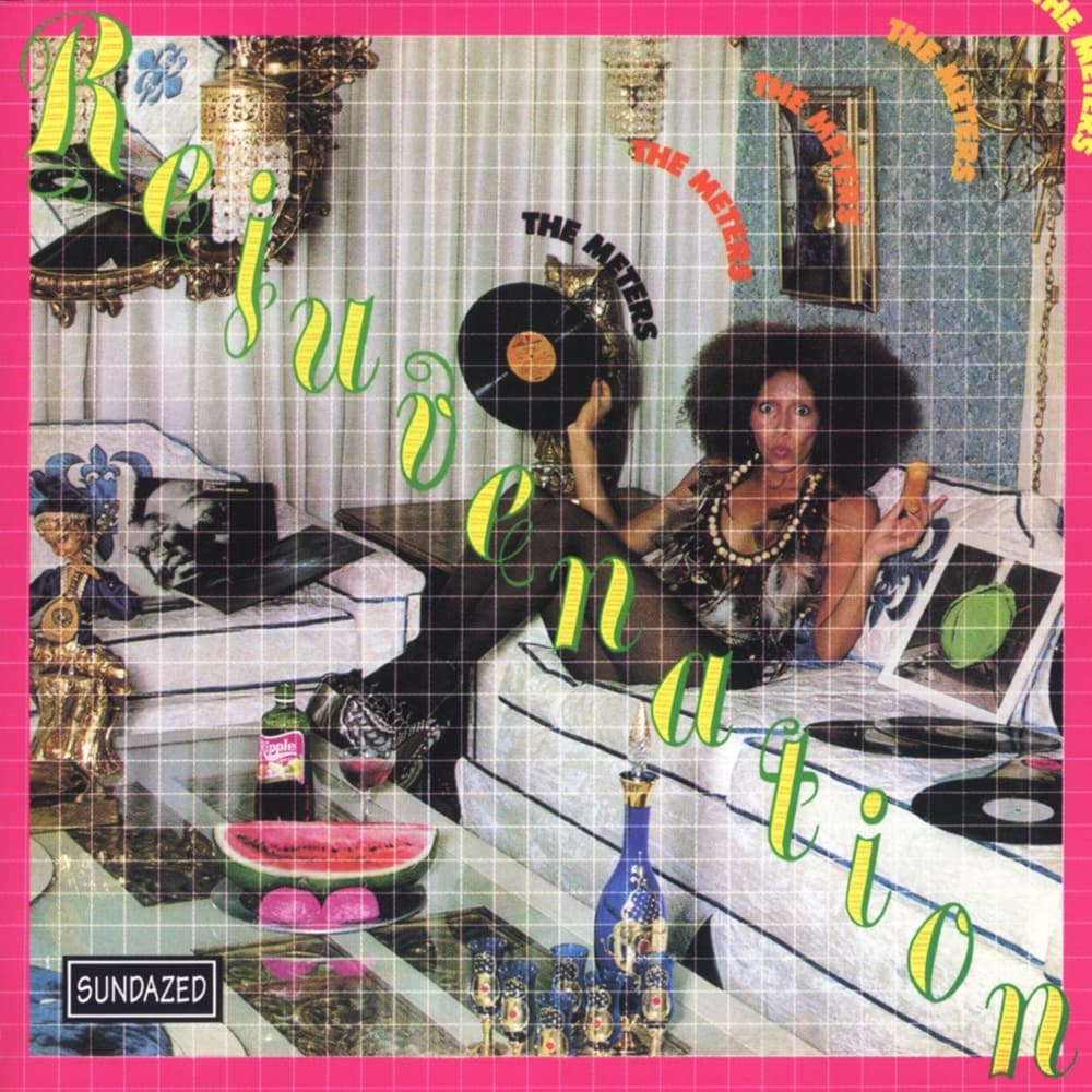 Rejuvenation — The Meters